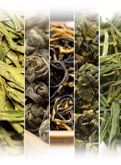 Échantillons de nos thés les plus vendus.