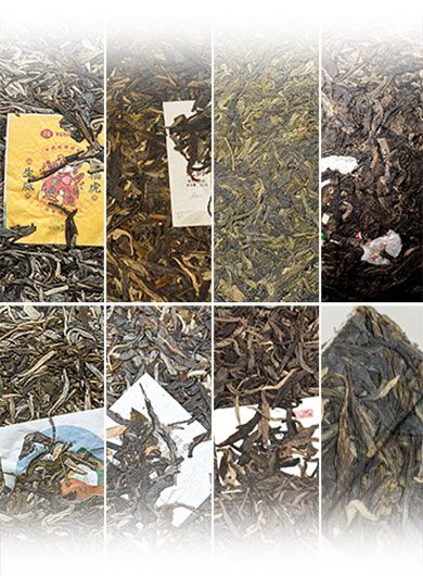 Assortiment N°1 de Puerh crus du Yunnan.