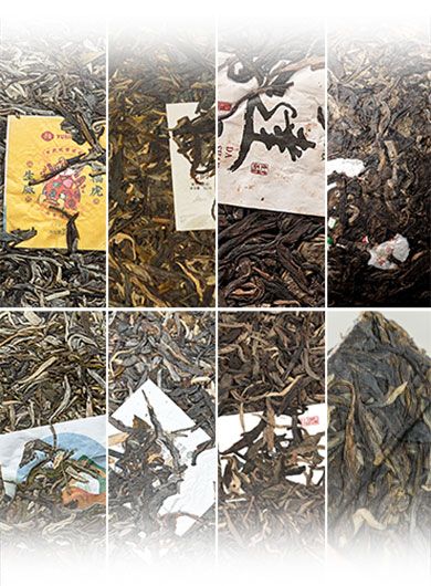 Assortiment N°1 de Puerh crus du Yunnan.
