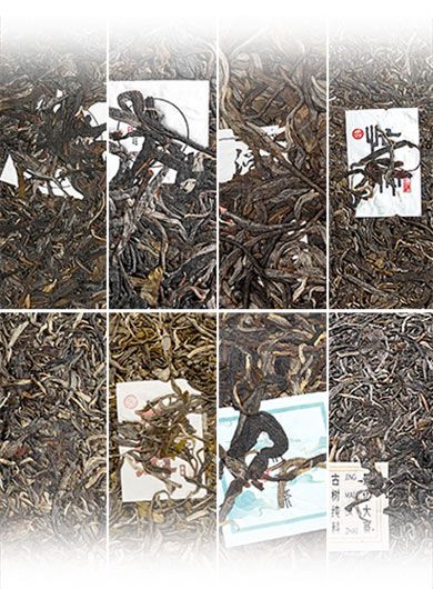 Assortiment N° 1 de Puerh crus hauts de gamme du Yunnan.