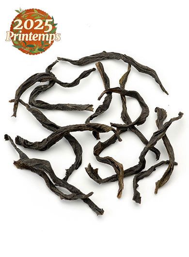 DanCong Ya shi Xiang Primé : OoLong du Guangdong