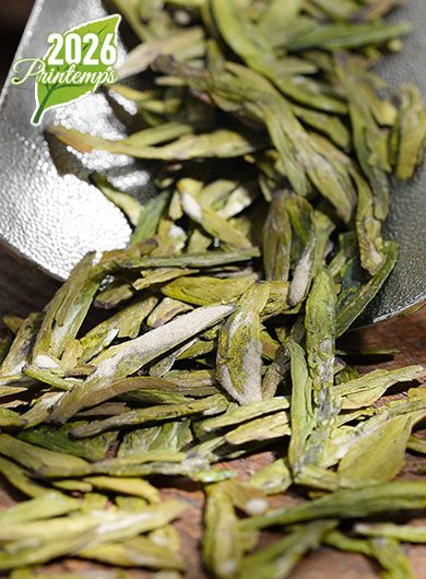 LongJing MingQian Xi Hu Grand Cru : thé vert