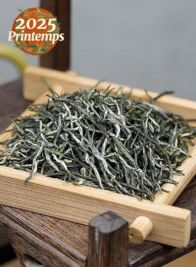 Xin Yang Mao Jian Dabie : thé vert