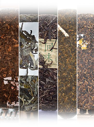 Assortiment de Puerh crus de la région de Xishuangbanna.