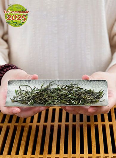 Pré-commande TianMu Yun Wu Bio : thé vert