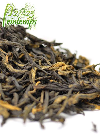 Yunnan Gong Fu : thé noir Dian Hong