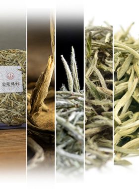 Échantillons de thés blancs « Aiguilles d'argent »