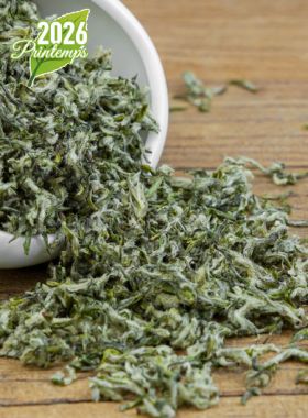 Bi Luo Chun Ming Qian Dong Ting