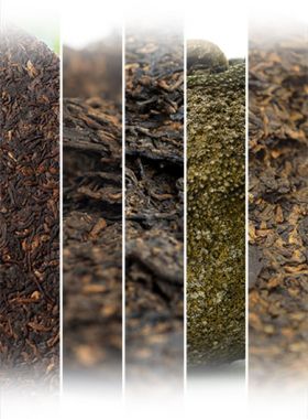 Assortiments de Shu Cha Pu'Er hauts de gamme