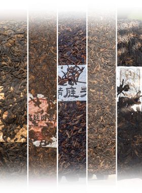 Échantillons Pu-erh cuit à l'arôme glutineux