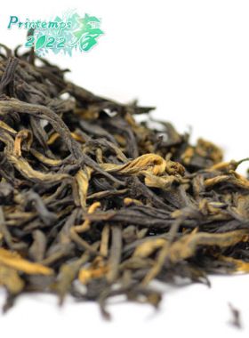 Yunnan Gong Fu : thé noir Dian Hong