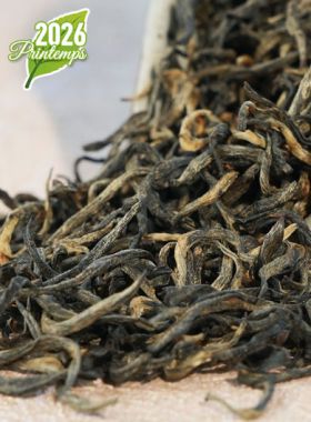 Jin Jun Mei Primé : thé noir des WuYi
