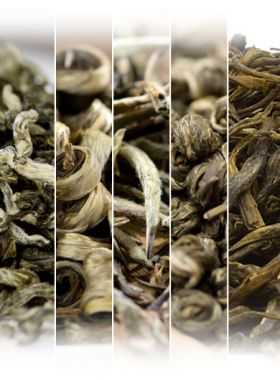 Échantillons de thés au jasmin, série 2.