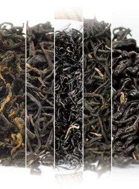 Échantillon de thés noirs «Keemun » de la région de Qimen. 