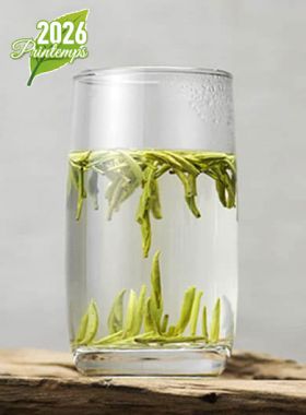 Ming Qian Long Ya grand cru : thé vert du Sichuan 