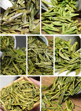 Collection d'échantillons de thés Longjing «Puits du Dragon» pour toute la famille