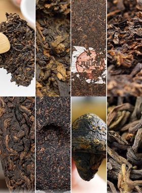 Échantillons de Pu-Erh cuits de diverses régions : Pack B
