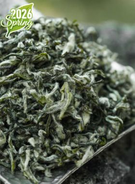 Bi Luo Chun Ming Qian Dong Ting