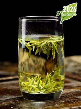 LongJing Bio Grand Cru MingQian : thé vert