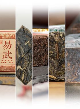 Échantillons de mini compressions de Pu'Er