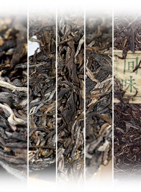 Assortiments de Sheng Cha Pu'Er hauts de gamme