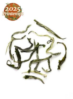 Longlin Bai Hao : thé vert Bio