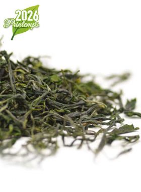 Tian Mu Mao Feng Bio : Thé vert