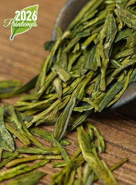 Puits du Dragon Grand Ordinaire : thé vert