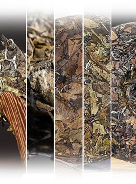 Échantillons de thés blancs « Shou Mei ».