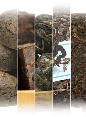 Assortiment des meilleures ventes des thés Puerh