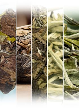 Assortiment des meilleurs ventes de thé blanc.