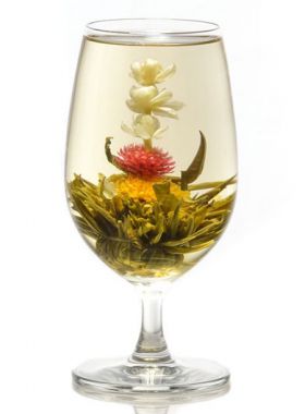 Trio florissant : fleur de thé