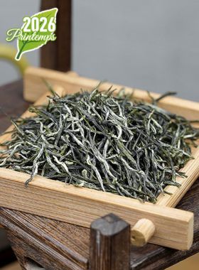 Xin Yang Mao Jian Dabie : thé vert