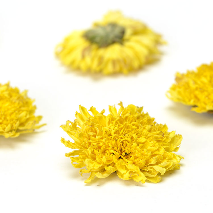 Fleurs de chrysanthème Huizhou Huangju