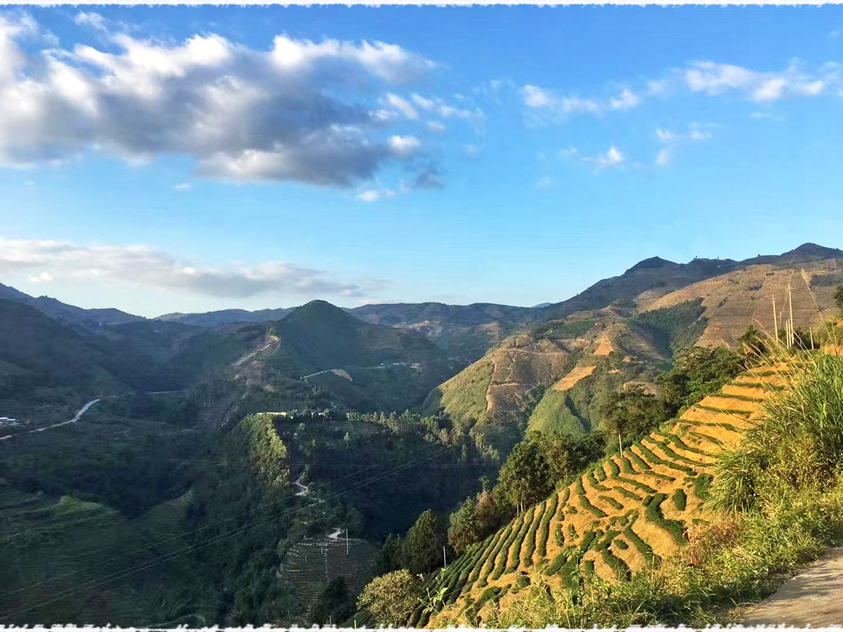 Les jardins d’Anxi
