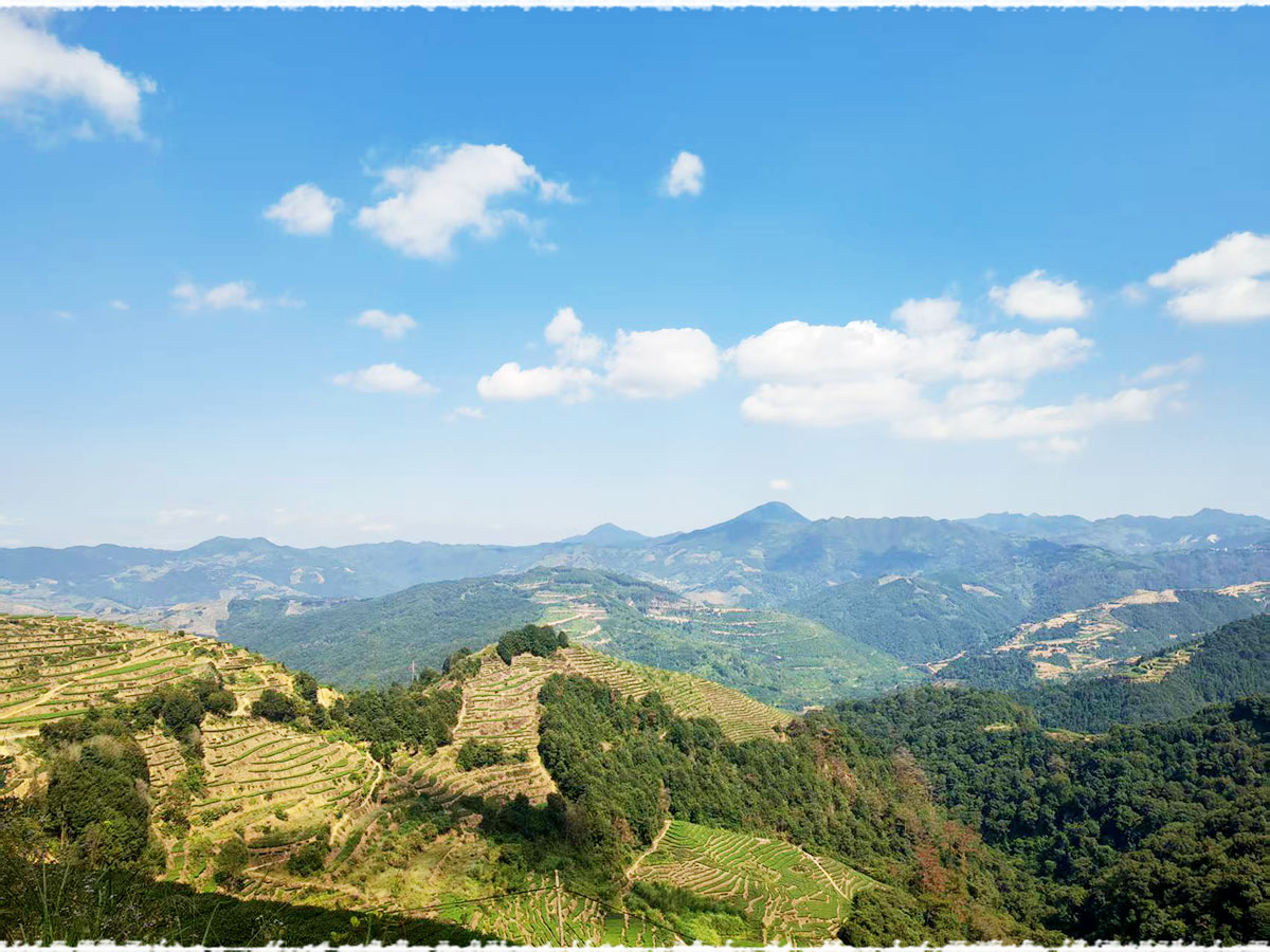 Les jardins d’Anxi