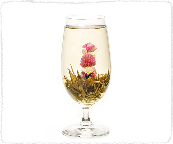 Douzaine : 12 fleurs de thé vert