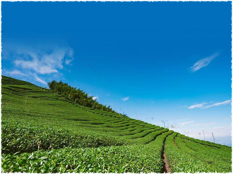 manxinloong village