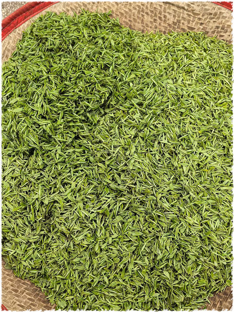 tea garden
