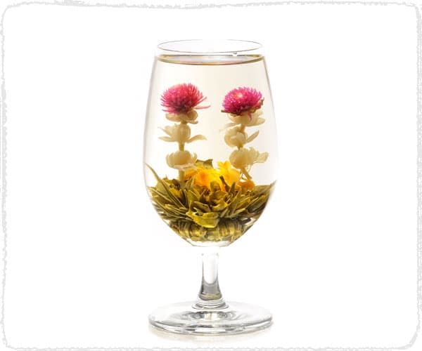 Douzaine : 12 fleurs de thé vert